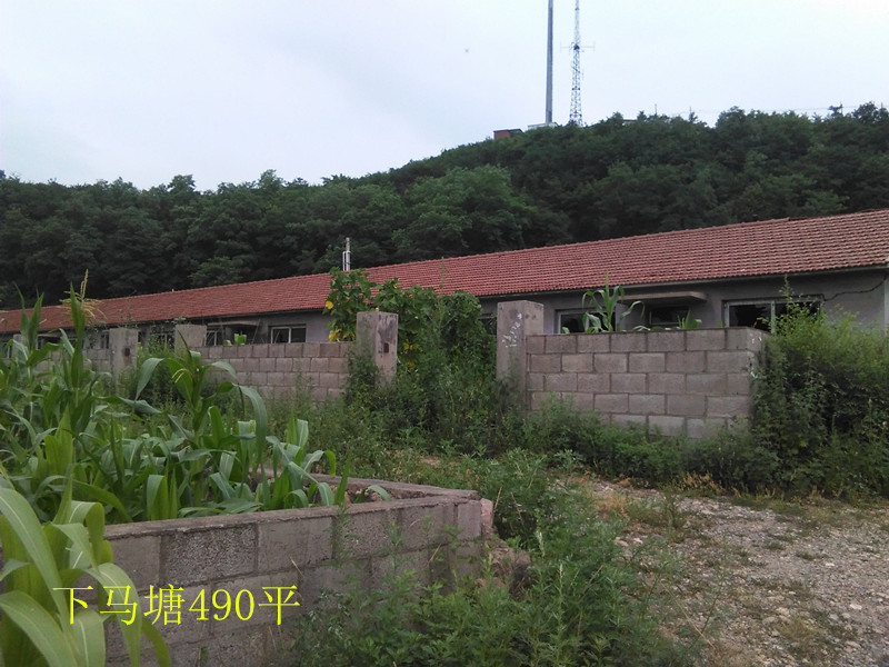 6̖  Ϸ҅^R悳̼Ҵ巿a