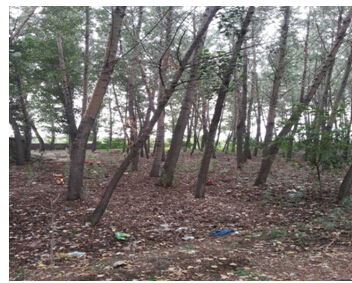 1̖ ɽǧɽ^(q)h(yun)(zhn)O´弯wʹÙ(qun)