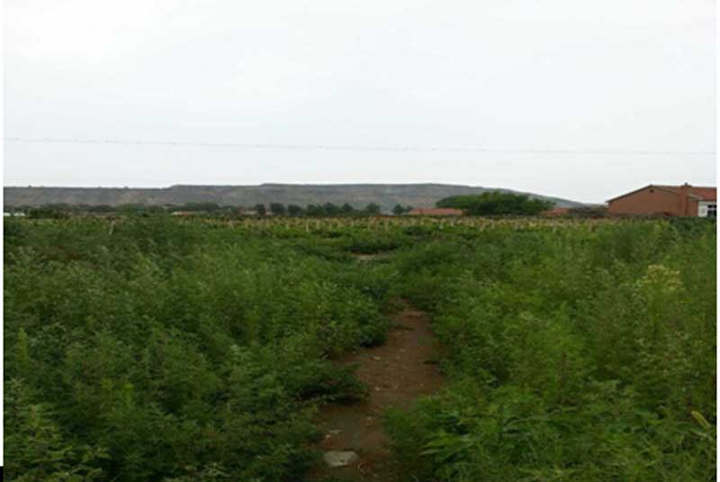 31̖ ɽǧɽ^Ƽҷ悌WCʹÙ